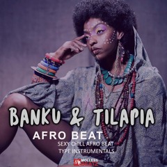 Banku & Tilapa | Banging Grovy  Chill AfroBeat Instrumental | Prod  molless beatz | SOLD