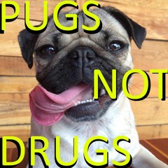 Pugs Not Drugs