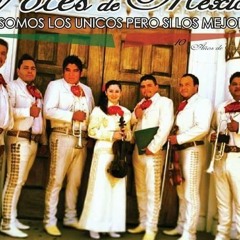 Mariachi Voces de Mexico Dallas