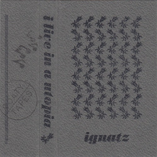 Ignatz - We Used To Smoke Inside