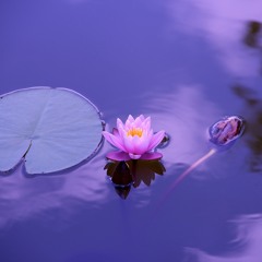 Sat Nam Wahe Guru