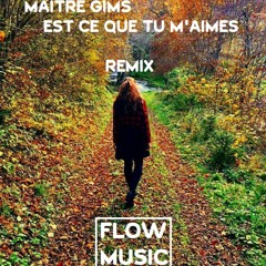 FLOW - Est Ce Que Tu M'aimes [Maitre Gims - Flow Remix]