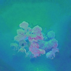 Electric Electric 'Dassault'