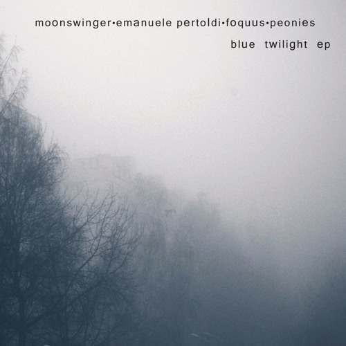 Download: Emanuele Pertoldi - Feedback Theory