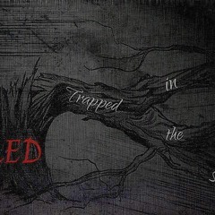 Trapped In The Shade (Prod. By: DOLLA /Mixed By: Sed The Jerk)