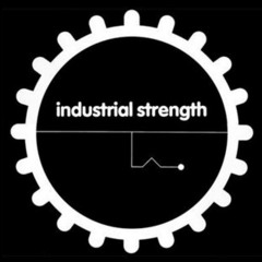 DJ Skinhead - The Ultimate Cumshot (Deterrent Man Remix) - ISR25