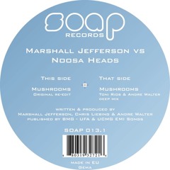 MUSHROOMS (Boogie Pimps Remix)