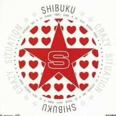 Crazy Situation - Shibuku (Boogie Pimps RMX)
