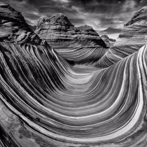 Liquid Frequency