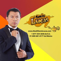 2 - 2-17 EL OIGA DEL PERICO