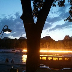 Django Reinhardt - Blues