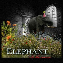 ELEPHANT IN THE CORNER MIX - Danny Nazareth & Dyer MC