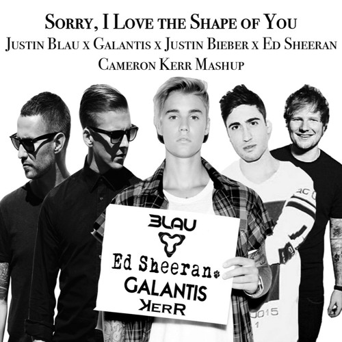 Sorry, I Love the Shape of You (Cameron Kerr Mashup)