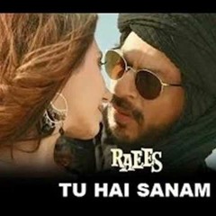 Tu Hai Sanam Raees Ft Mr Love Dj Teelesh Love Mix 2k17