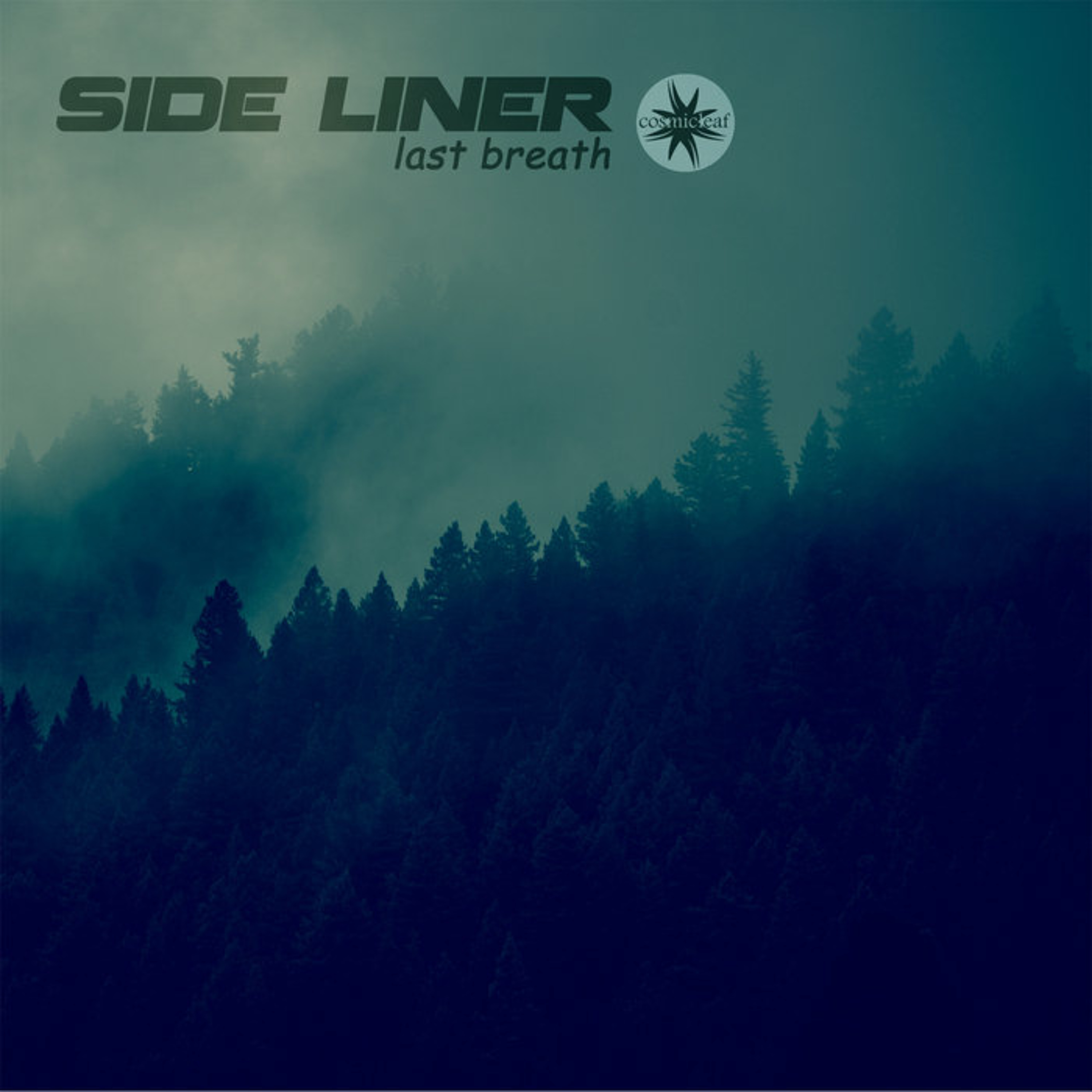 Side Liner (#downtempo) Renil Edis (#techno)