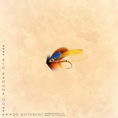 So Different | feat. Henny L.O. | prod. Fly Anakin