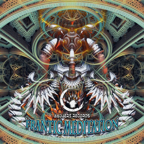 METAHUMAN - The Last Of The Timelords (VA Frantic Meditation - Badgers Records)