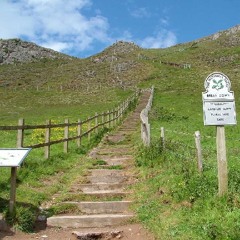 Walk With Me - Lil.t