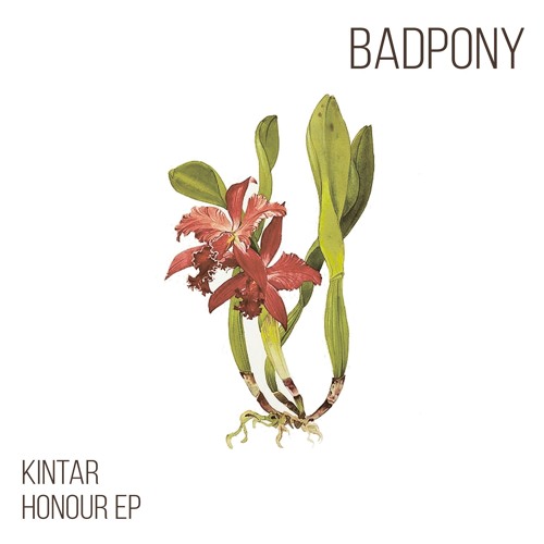 PREMIERE: KINTAR - Mother (Original Mix) [Bad Pony Records]