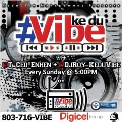 Harmonik - Illegal Live @ Amazura NY Jan 2017