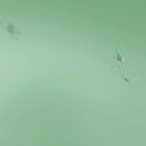 Stream Editor Wardash Listen to Electronic Stuff playlist online for