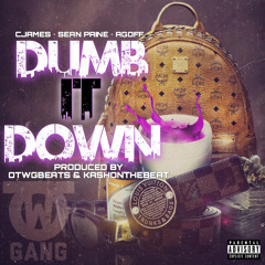 "Dumb It Down" Ft. Sean Paine & A.Goff (Prod. By @OTWGBEATS & Kash)