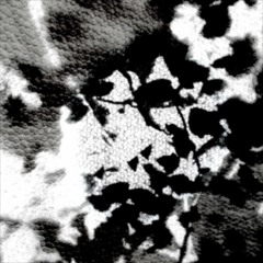 Two Things On Saturday