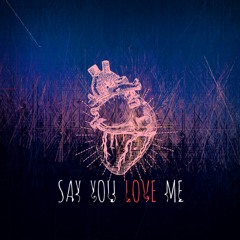Say You Love Me