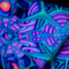 Best of High-End psychedelic Sound Creators.