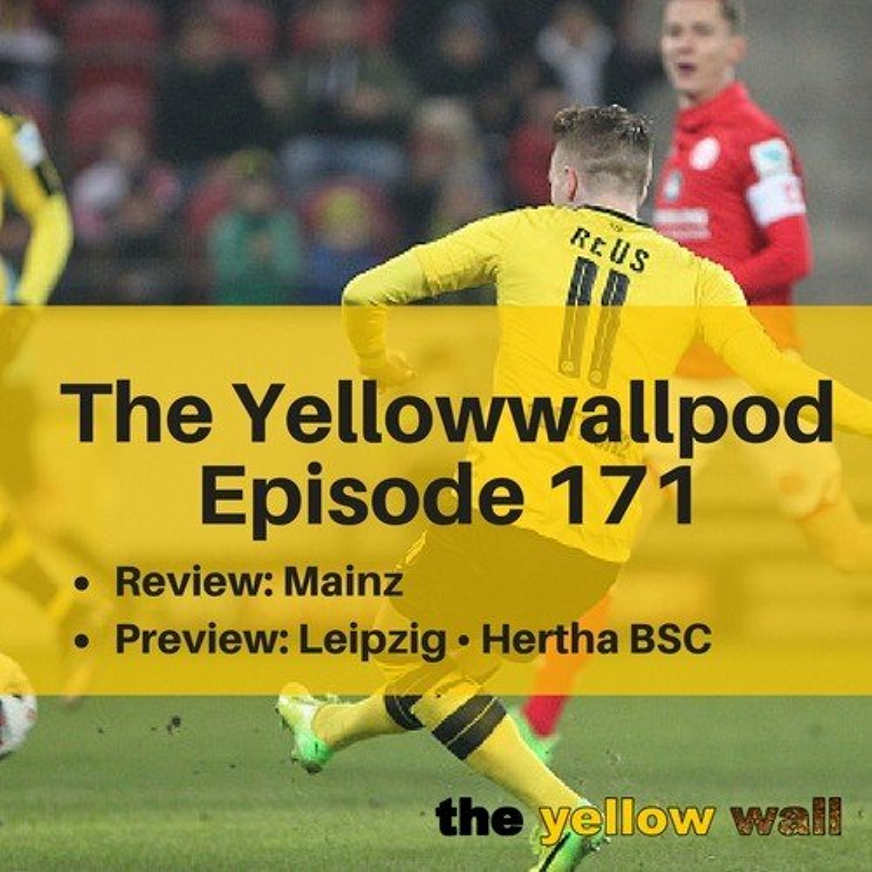 Yellowwallpod