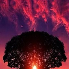 Breathe Peace Mix 6 (1)