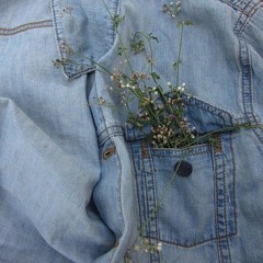 Put a Flower In Your Pocket