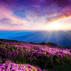 Mario Dujic Feat. Chris Dennis Rosenberg - Reason [Free download on Buy button]