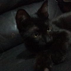 What's Inside Your Eyes