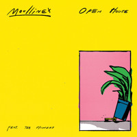 Moullinex - Open House (feat. Tee Flowers)