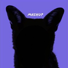 Galantis Mashup [Love on Me / Peanut Butter Jelly / No Money / Runaway/ Pillow Fight]