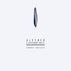 Kleiber - A Different White