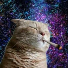 High Life (Prod. Musikal) (Mixed By Rob Stylez)