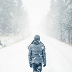 Peter De Blieck & Nicolas Delfosse 'Wienter'