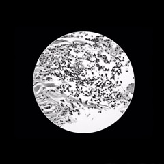 COMARECORDS002 - Doubleffe - Symptoms