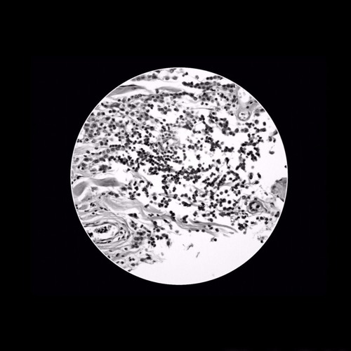 COMARECORDS002 - Doubleffe - Symptoms