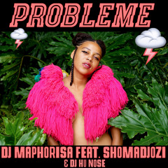 Dj Maphorisa - Probleme ft Shomadjozi & Dj Hu Nose "Prod by DJ Maphorisa"