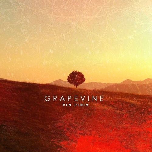 Grapevine