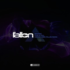 Fallon - Push & Pull