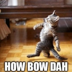 Cats meowside