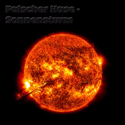 Falscher Hase - Sonnensturm (Februar 2017)