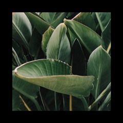 Hidden Garden