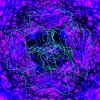 PLATO No. 4167 Against Dreams-A Noise Opera
