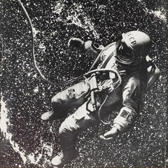 The Cosmonaut