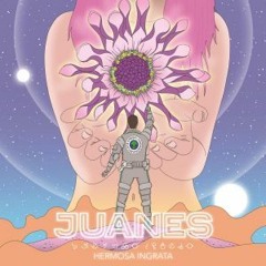 Juanes - Hermosa Ingrata (Simple Mix Carly '017)